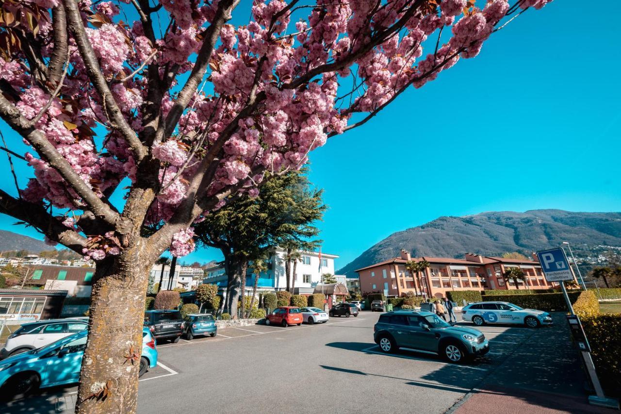 Ascona Lodge, Pool & Garden Retreat מראה חיצוני תמונה