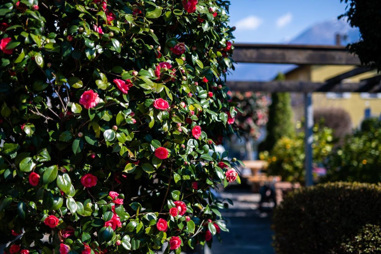 Ascona Lodge, Pool & Garden Retreat מראה חיצוני תמונה